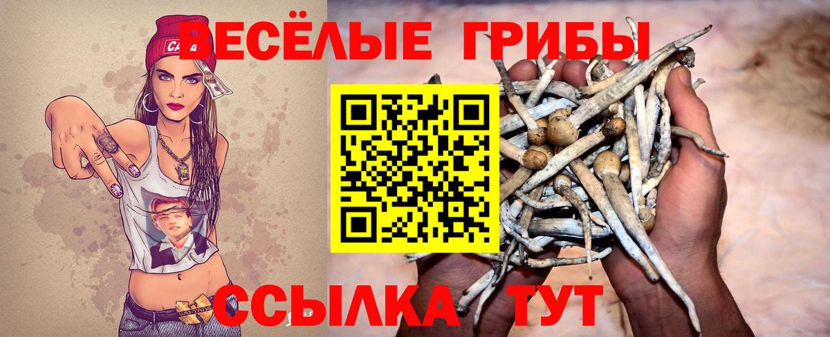 Галлюциногенные грибы Psilocybe  Вход с VPN  Ярцево 